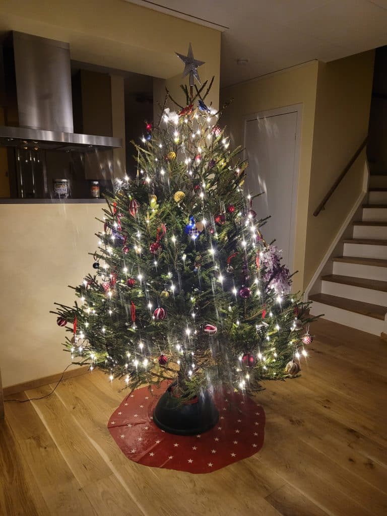 Julgranen 2023. Årets julgran är nästan perfekt. Perfekt form, storlek och fint klädd av barnen. Det enda negativa är att den har barrat sedan första dagen vi tog in den.
